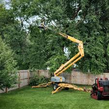 Best Grass Overseeding  in Colonial Heights, VA
