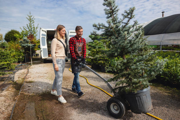 Lawn Pest Prevention in Colonial Heights, VA